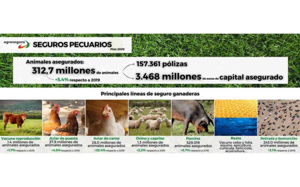 Agroseguro presenta su ‘Plan 2021 de seguros pecuarios’: 12 líneas ganaderas y 3 acuícolas 1